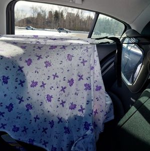 Carseat canopy